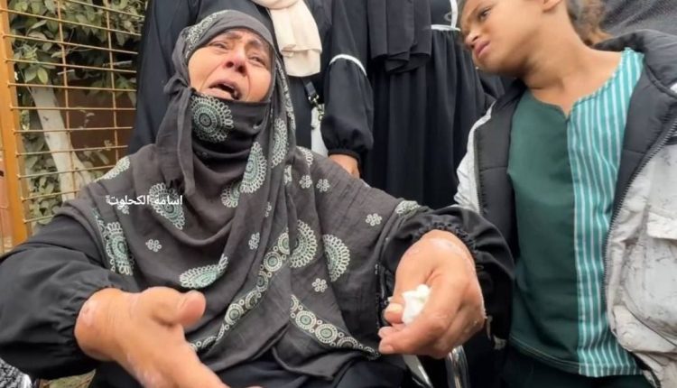 photo_٢٠٢٥-١٠-٢٩_١١-٣٩-٣٩ (2)